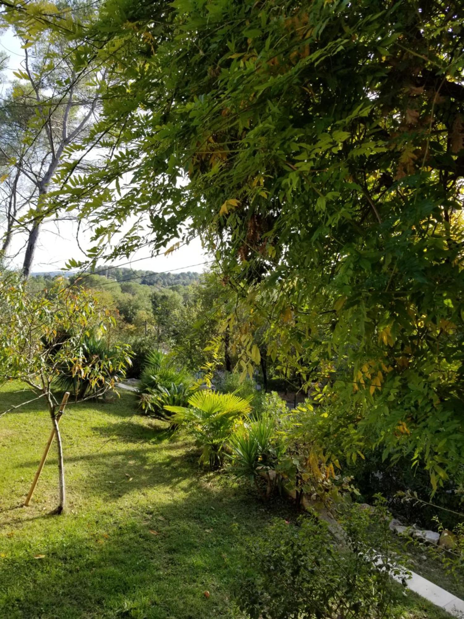 Ô Tilia d'Azur Bed & Breakfast Roquefort-les-Pins Exterior foto